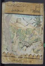 غلاف الدراسات الاجتماعية